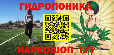 крисы Рыбинск