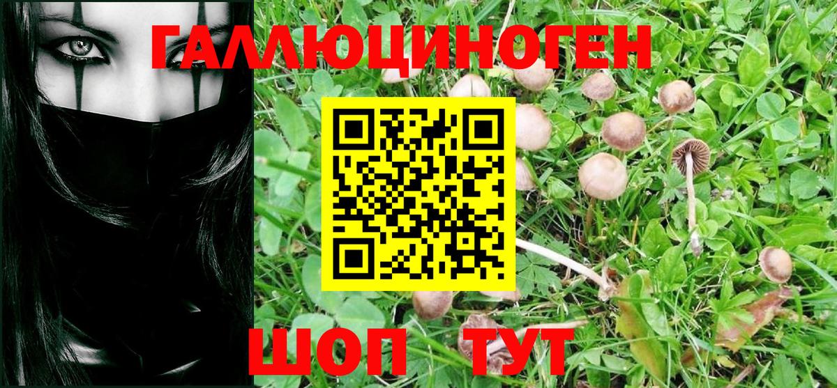 Галлюциногенные грибы Magic Shrooms Новоалтайск